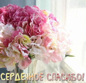 Скачать бесплатно Картинка сердечное спасибо красивая на сайте WishesCards.ru