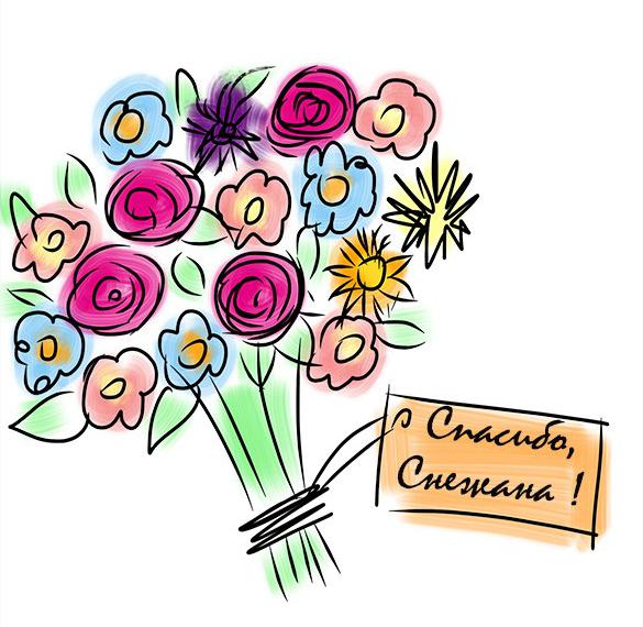 Скачать бесплатно Картинка Снежана спасибо на сайте WishesCards.ru