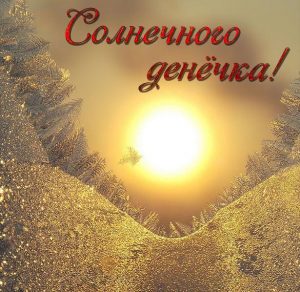 Скачать бесплатно Картинка солнечного денечка прикольная на сайте WishesCards.ru