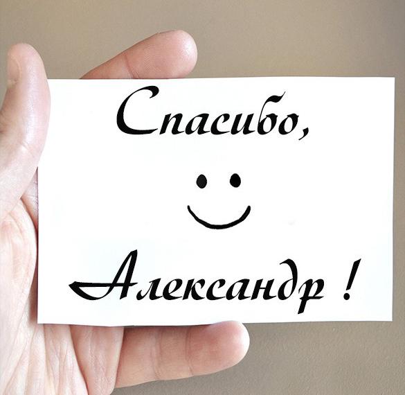 Скачать бесплатно Картинка спасибо Александр на сайте WishesCards.ru