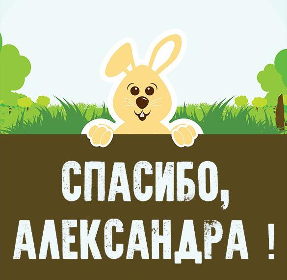 Скачать бесплатно Картинка спасибо Александра на сайте WishesCards.ru