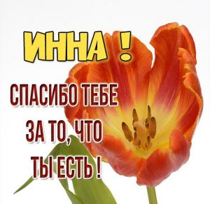 Скачать бесплатно Картинка спасибо что ты есть Инна на сайте WishesCards.ru