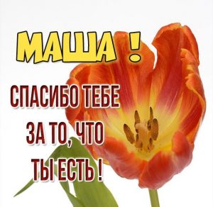 Скачать бесплатно Картинка спасибо что ты есть Маша на сайте WishesCards.ru
