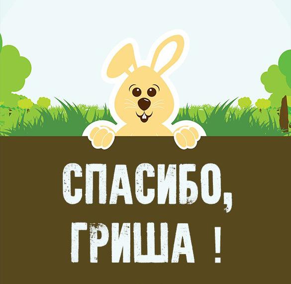 Скачать бесплатно Картинка спасибо Гриша на сайте WishesCards.ru