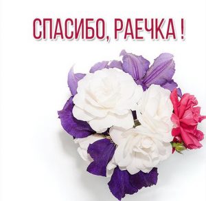 Скачать бесплатно Картинка спасибо Раечка на сайте WishesCards.ru