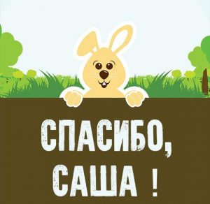 Скачать бесплатно Картинка спасибо Саша на сайте WishesCards.ru