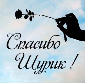 Скачать бесплатно Картинка спасибо Шурик очень приятно на сайте WishesCards.ru