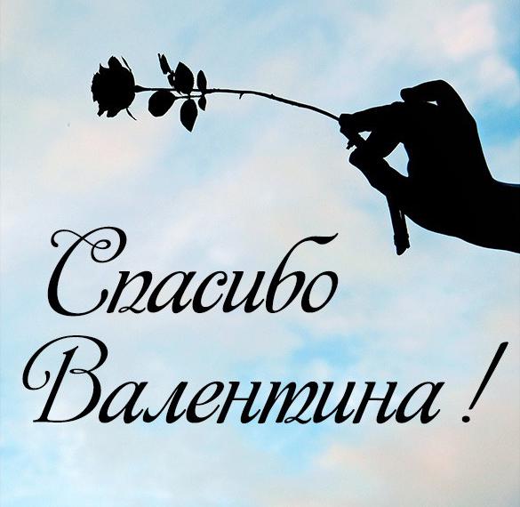 Скачать бесплатно Картинка спасибо Валентина на сайте WishesCards.ru
