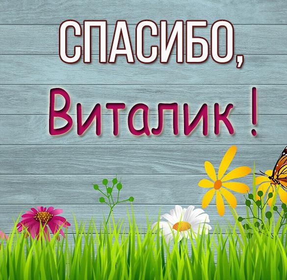 Скачать бесплатно Картинка спасибо Виталик на сайте WishesCards.ru