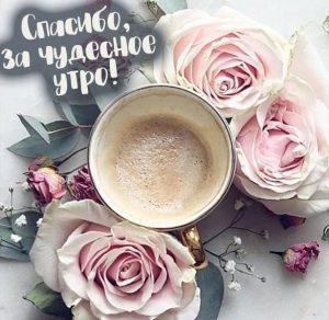 Скачать бесплатно Картинка спасибо за чудесное утро на сайте WishesCards.ru