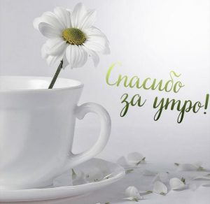 Скачать бесплатно Картинка спасибо за утро на сайте WishesCards.ru
