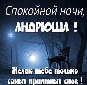 Скачать бесплатно Картинка спокойной ночи Андрюша на сайте WishesCards.ru