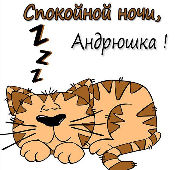 Скачать бесплатно Картинка спокойной ночи Андрюшка на сайте WishesCards.ru