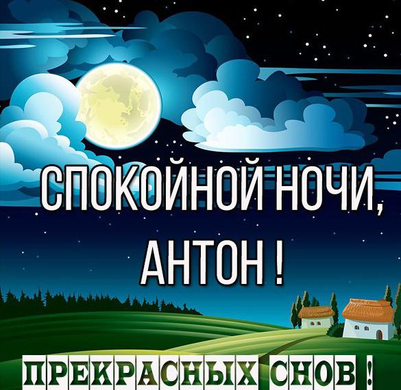 Скачать бесплатно Картинка спокойной ночи Антон на сайте WishesCards.ru