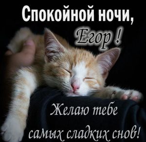 Скачать бесплатно Картинка спокойной ночи Егор на сайте WishesCards.ru