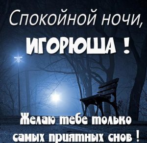 Скачать бесплатно Картинка спокойной ночи Игорюша на сайте WishesCards.ru