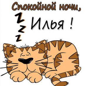 Скачать бесплатно Картинка спокойной ночи Илья на сайте WishesCards.ru