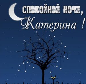 Скачать бесплатно Картинка спокойной ночи Катерина на сайте WishesCards.ru