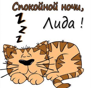 Скачать бесплатно Картинка спокойной ночи Лида на сайте WishesCards.ru