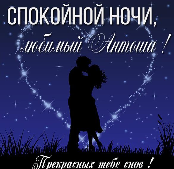 Скачать бесплатно Картинка спокойной ночи любимый Антоша на сайте WishesCards.ru