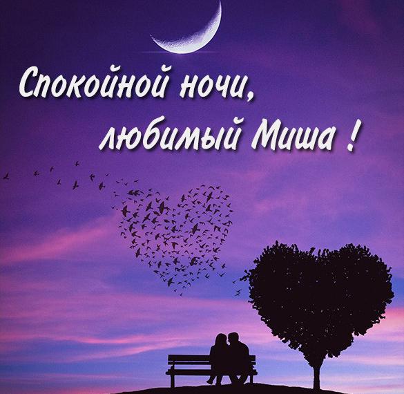 Скачать бесплатно Картинка спокойной ночи любимый Миша на сайте WishesCards.ru