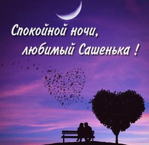 Скачать бесплатно Картинка спокойной ночи любимый Сашенька на сайте WishesCards.ru