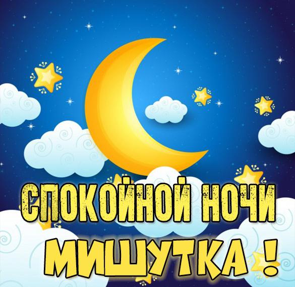 Скачать бесплатно Картинка спокойной ночи Мишутка на сайте WishesCards.ru