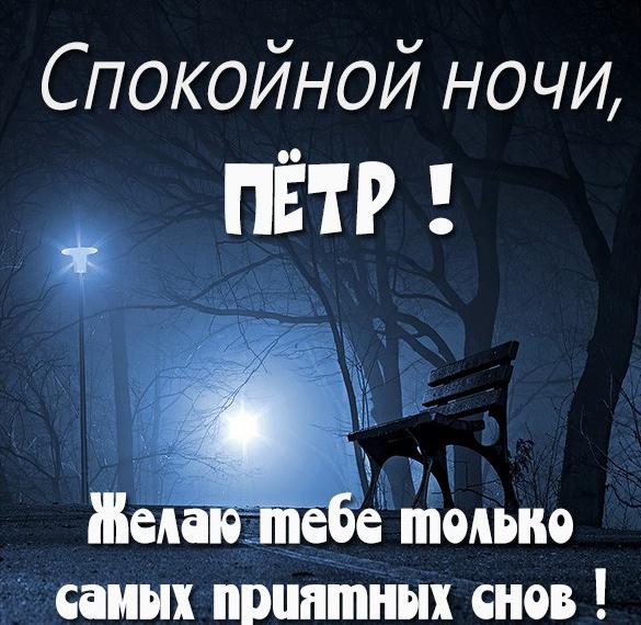 Скачать бесплатно Картинка спокойной ночи Петр на сайте WishesCards.ru