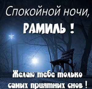 Скачать бесплатно Картинка спокойной ночи Рамиль на сайте WishesCards.ru