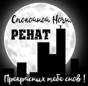 Скачать бесплатно Картинка спокойной ночи Ренат на сайте WishesCards.ru