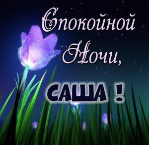 Скачать бесплатно Картинка спокойной ночи Саша на сайте WishesCards.ru