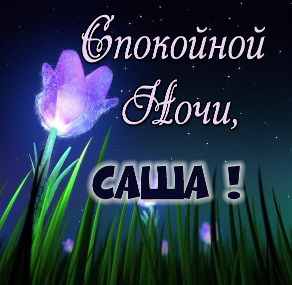 Скачать бесплатно Картинка спокойной ночи Саша на сайте WishesCards.ru