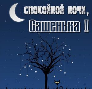 Скачать бесплатно Картинка спокойной ночи Сашенька на сайте WishesCards.ru
