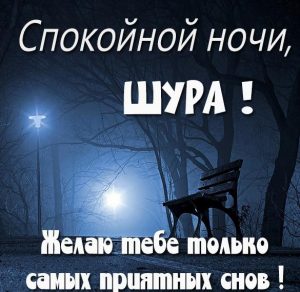 Скачать бесплатно Картинка спокойной ночи Шура на сайте WishesCards.ru