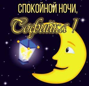 Скачать бесплатно Картинка спокойной ночи Софийка на сайте WishesCards.ru