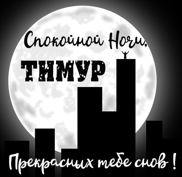 Скачать бесплатно Картинка спокойной ночи Тимур на сайте WishesCards.ru