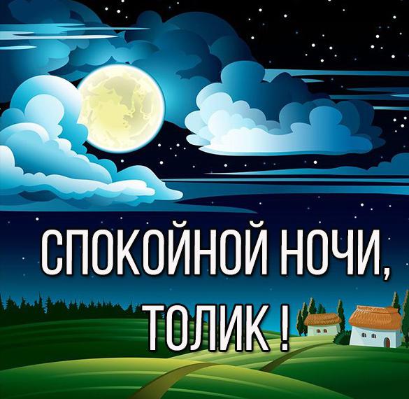 Скачать бесплатно Картинка спокойной ночи Толик на сайте WishesCards.ru
