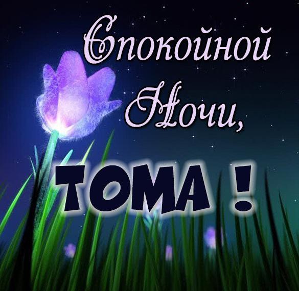 Скачать бесплатно Картинка спокойной ночи Тома на сайте WishesCards.ru