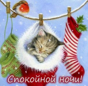 Скачать бесплатно Картинка спокойной ночи зимняя красивая прикольная на сайте WishesCards.ru