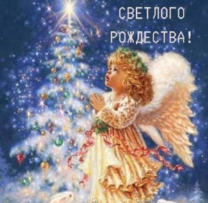 Скачать бесплатно Картинка Светлого Рождества на сайте WishesCards.ru