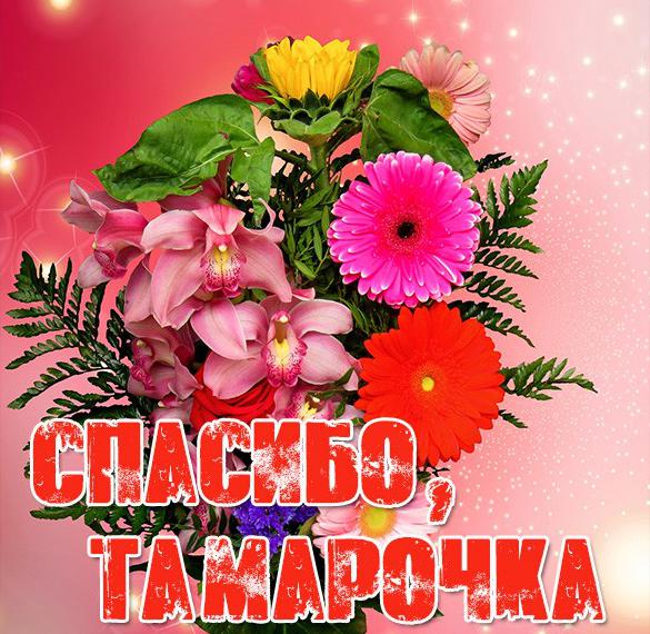 Скачать бесплатно Картинка Тамарочка спасибо на сайте WishesCards.ru