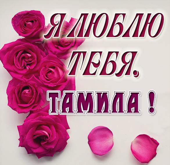 Скачать бесплатно Картинка Тамила я тебя люблю на сайте WishesCards.ru