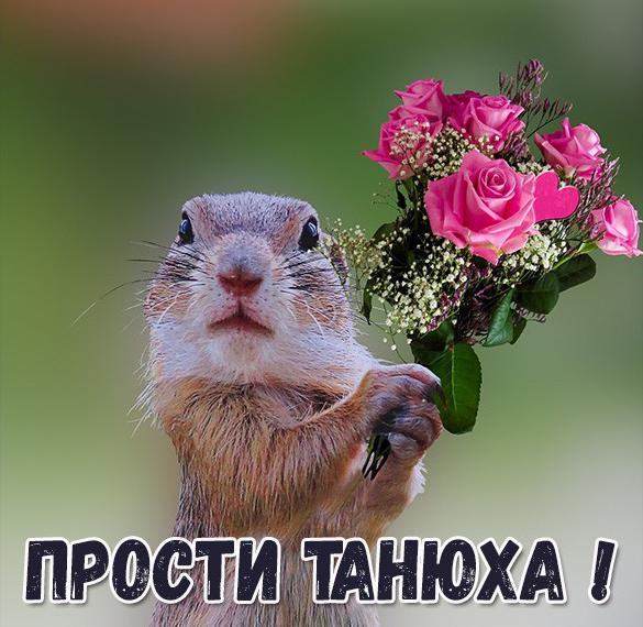 Скачать бесплатно Картинка Танюха прости на сайте WishesCards.ru