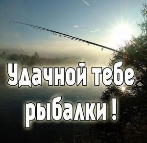 Скачать бесплатно Картинка удачной рыбалки фото на сайте WishesCards.ru