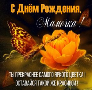 Скачать бесплатно Картинка в день рождения маме на сайте WishesCards.ru