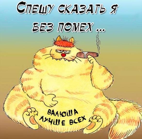 Скачать бесплатно Картинка Валя с приколом на сайте WishesCards.ru