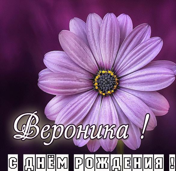 Скачать бесплатно Картинка Вероника с днем рождения для девочки на сайте WishesCards.ru