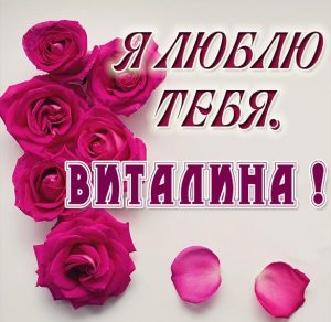 Скачать бесплатно Картинка Виталина я тебя люблю на сайте WishesCards.ru
