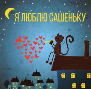 Скачать бесплатно Картинка я люблю Сашеньку на сайте WishesCards.ru