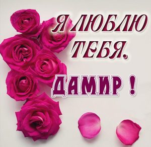 Скачать бесплатно Картинка я люблю тебя Дамир на сайте WishesCards.ru